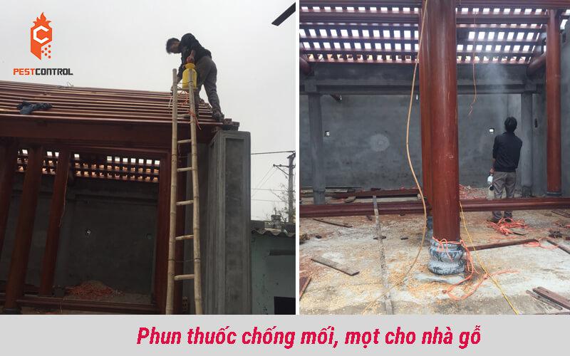 Phun thuốc diệt mối